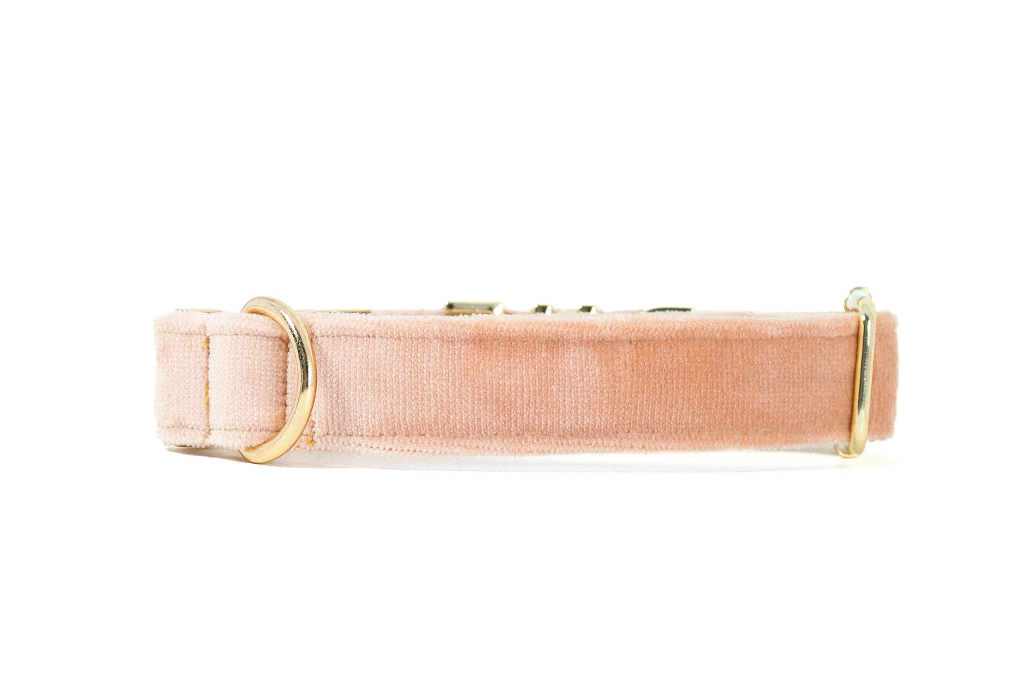 PetyzPaws Personalized Velvet Dog Collar for Pets
