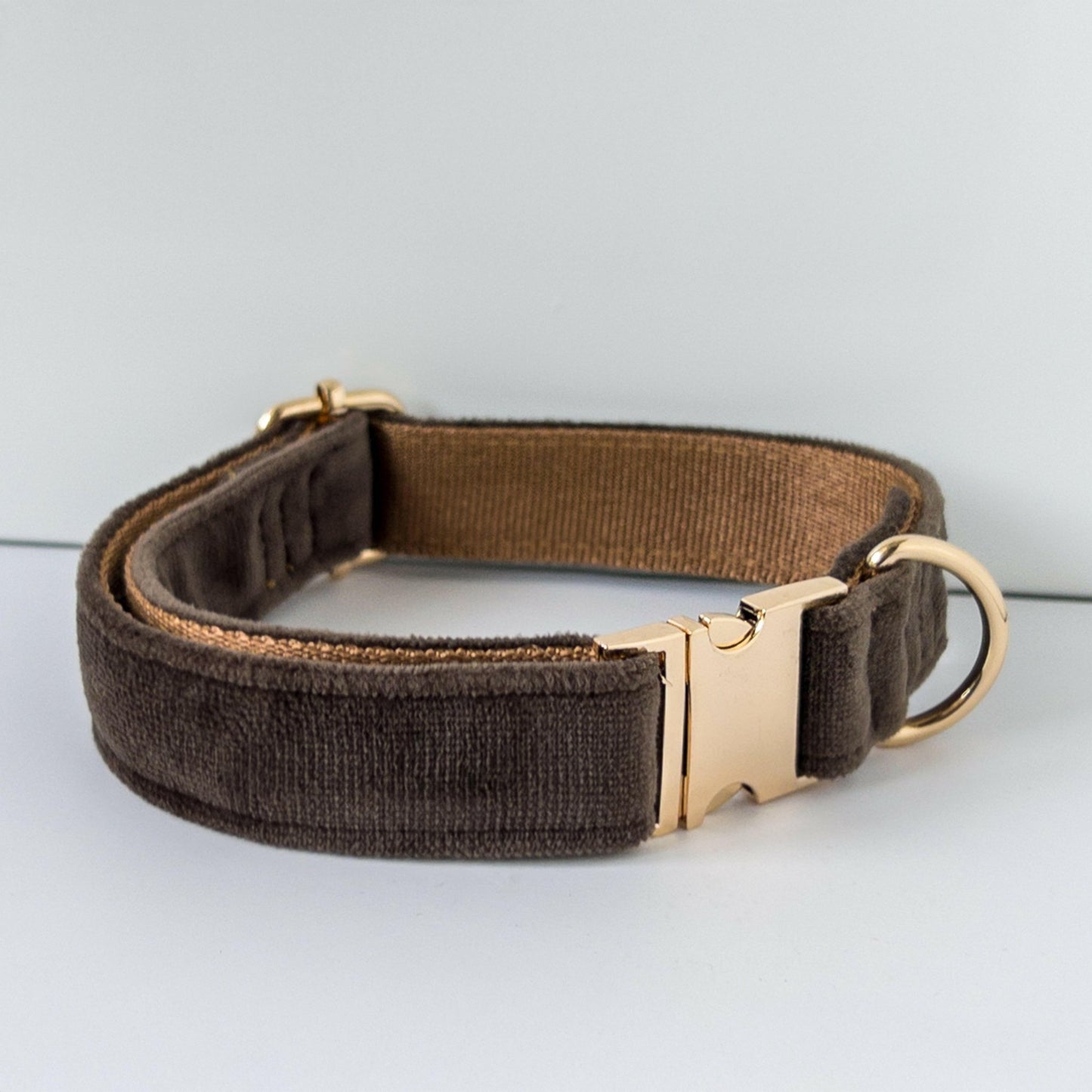 Personalised Dog Collar with Engraved Name - PetyzPaws