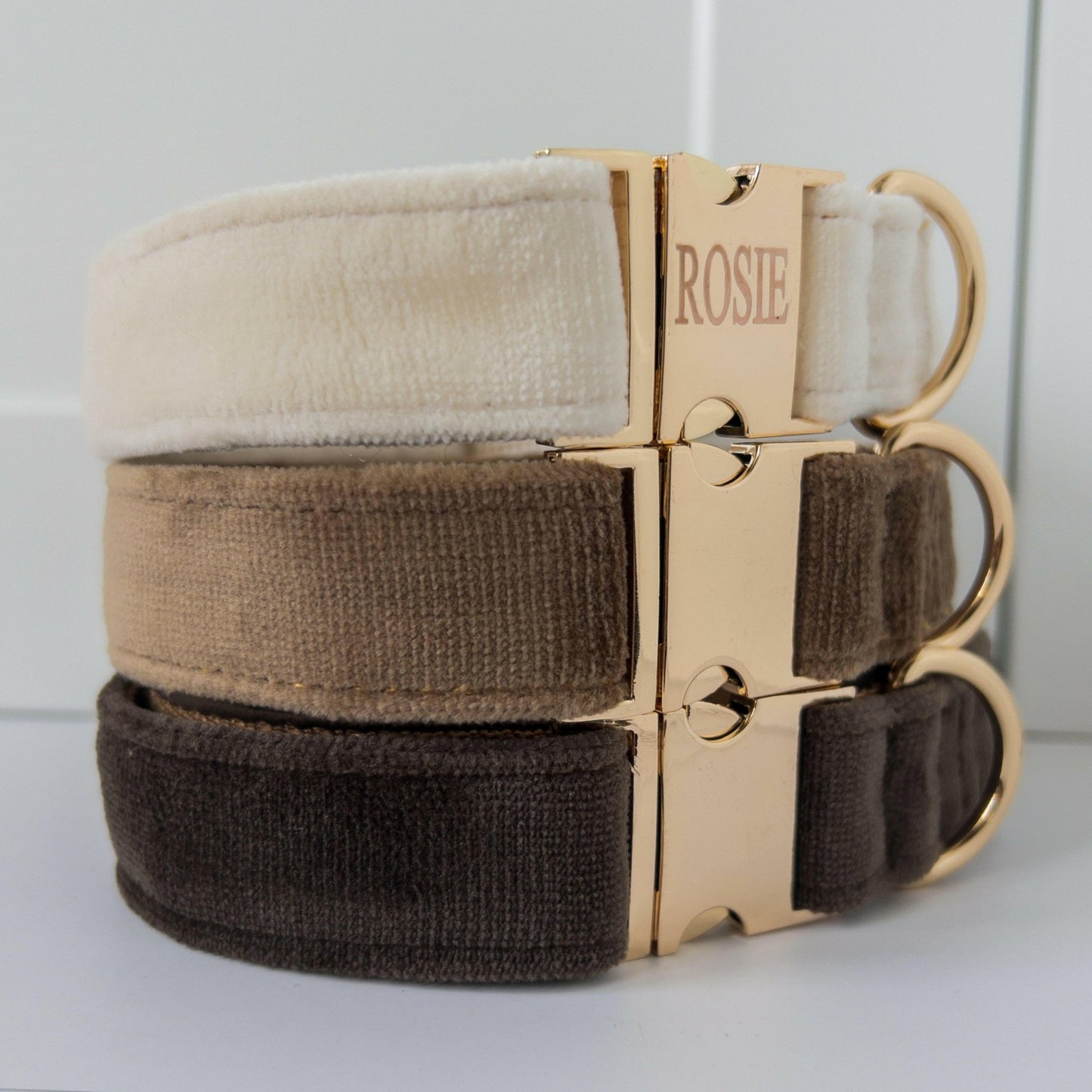 Personalised Dog Collar with Engraved Name - PetyzPaws