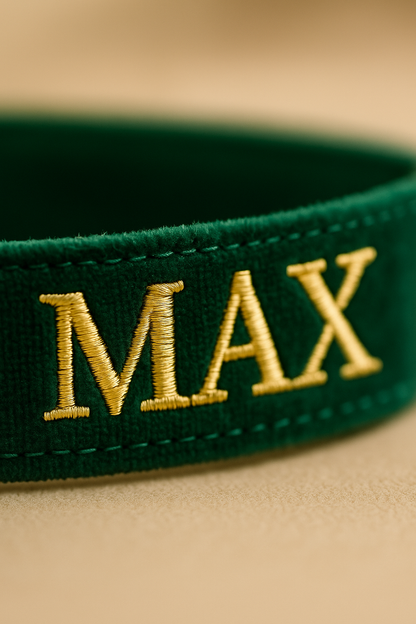 Custom Embroidered Velvet Dog Collar with Name – Adjustable & Soft | PetyzPaws