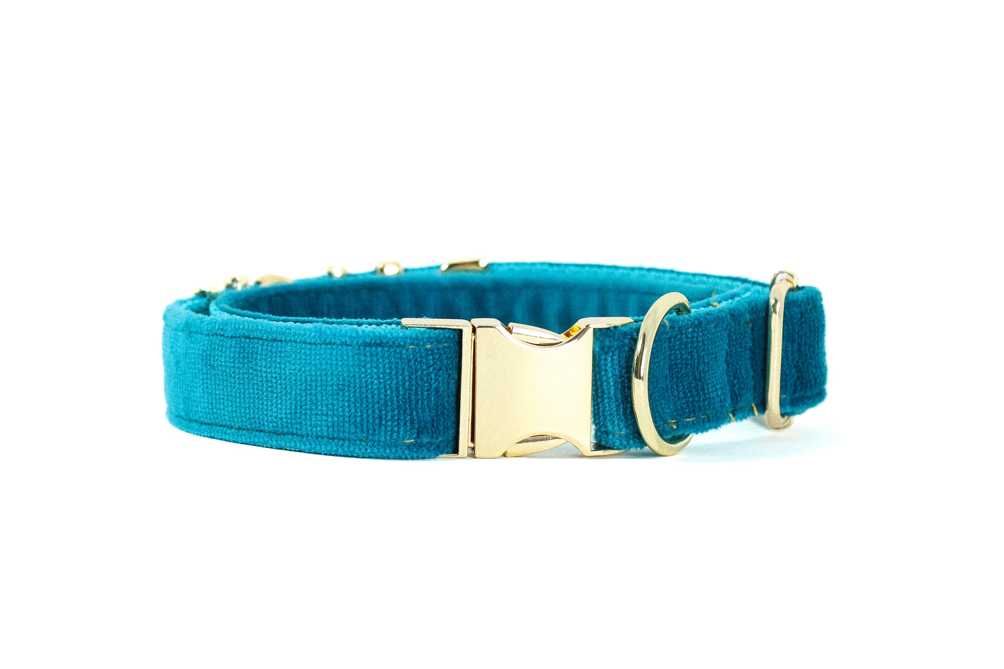 PetyzPaws Premium Dog Collar - Premium Pet Accessories Worldwide