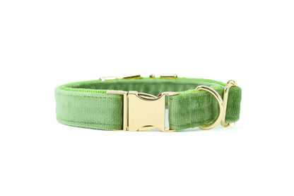 Petyz Paws Adjustable Dog Collar with Charms - Velvet