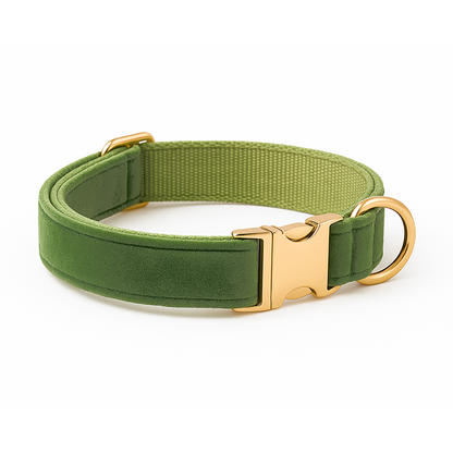 Embroidered Dog Collar