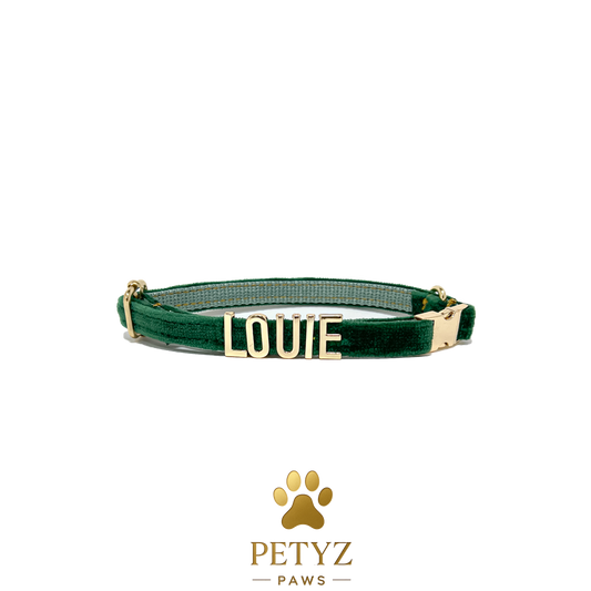 Cat collar with name