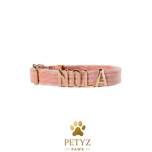 Cat Collar Custom Pet Collar