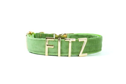 #dog_collar# - #petyzpaws#