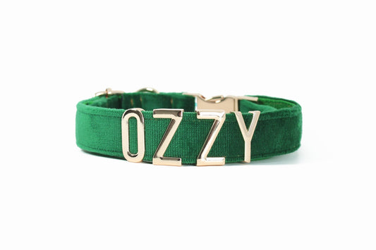 #dog_collar# - #petyzpaws#