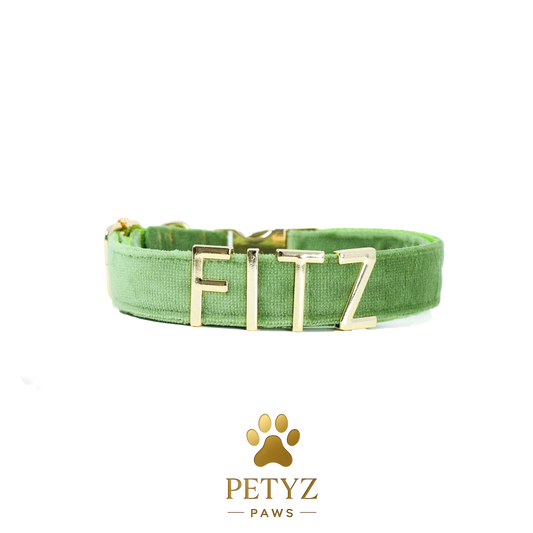 Petyz Paws Adjustable Dog Collar with Charms - Velvet