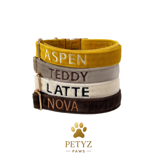 Personalized Embroidery Dog Collars by Petyz Paws