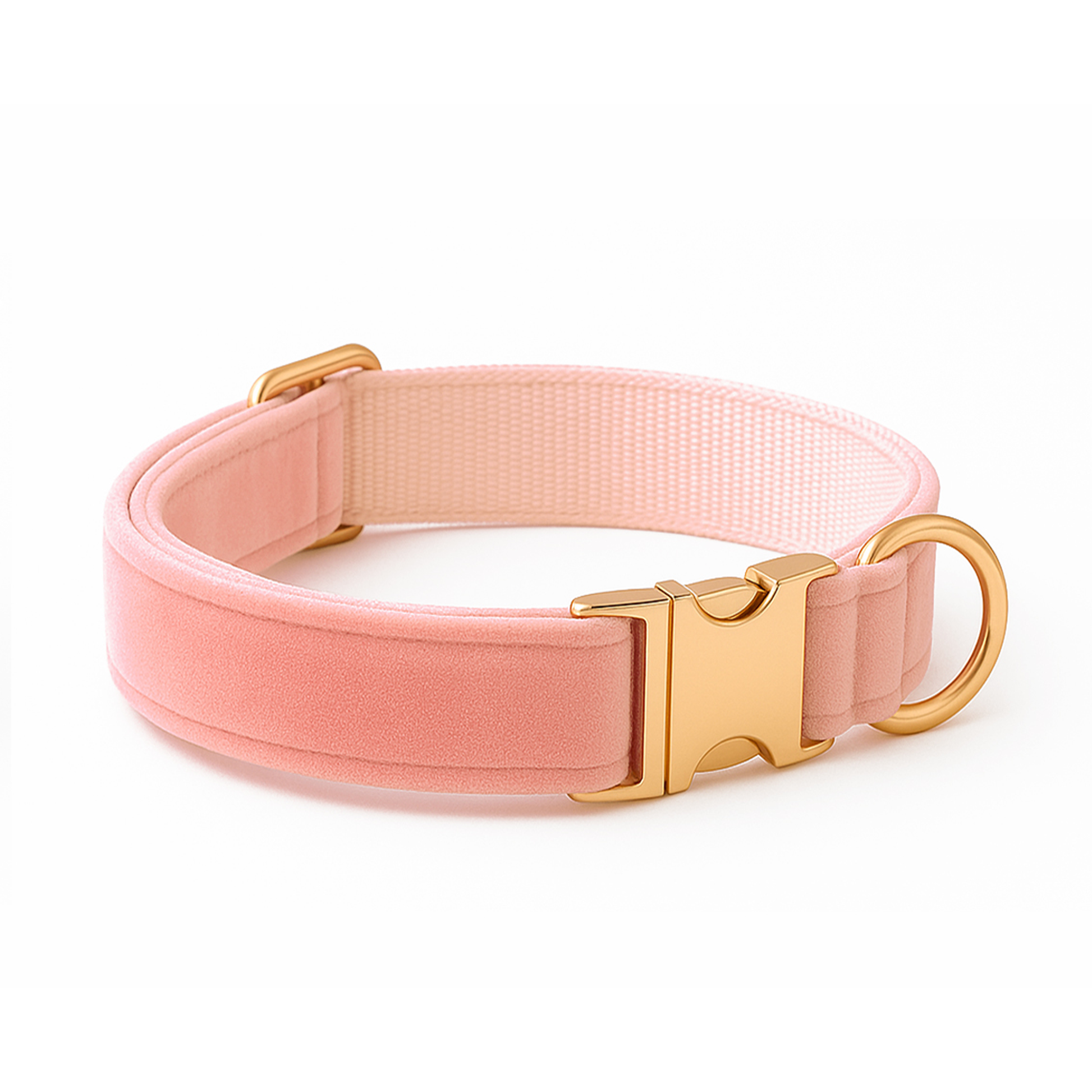 Embroidered Dog Collar