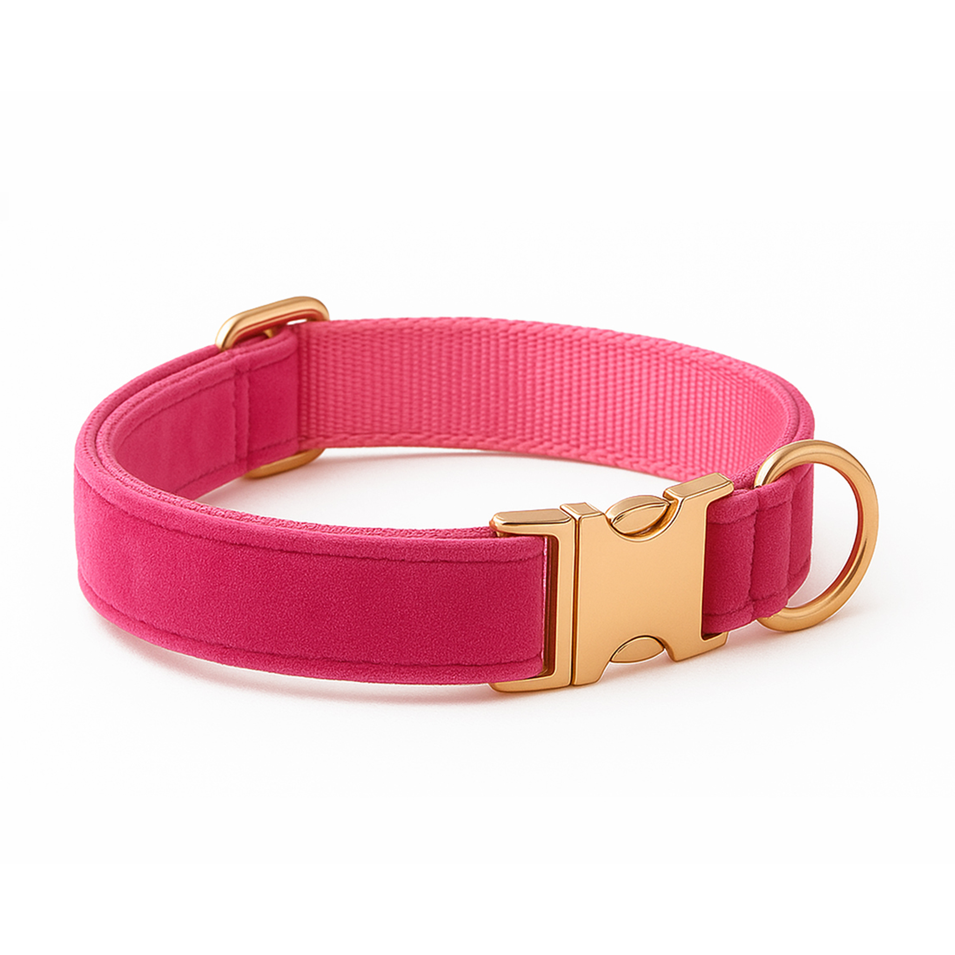 Embroidered Dog Collar