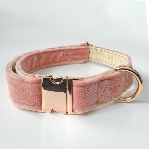 Custom Velvet Dog Collar with Laser Engraved Metal Buckle - Quick Release, Wedding, and Designer Styles - PetyzPaws