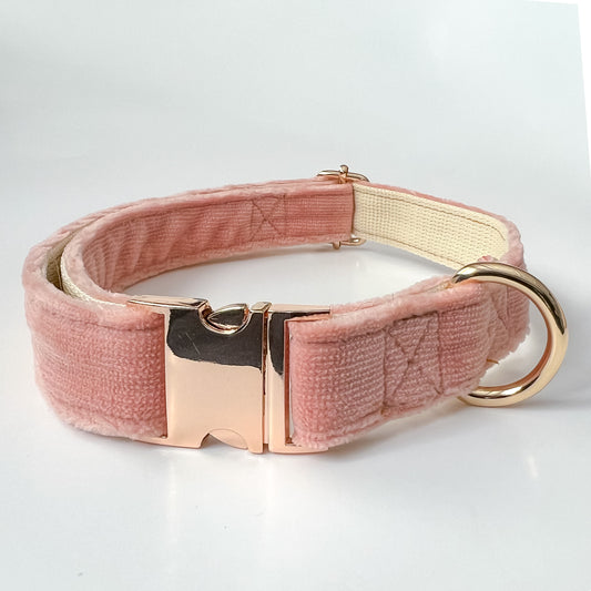 Custom Velvet Dog Collar with Laser Engraved Metal Buckle - Quick Release, Wedding, and Designer Styles - PetyzPaws
