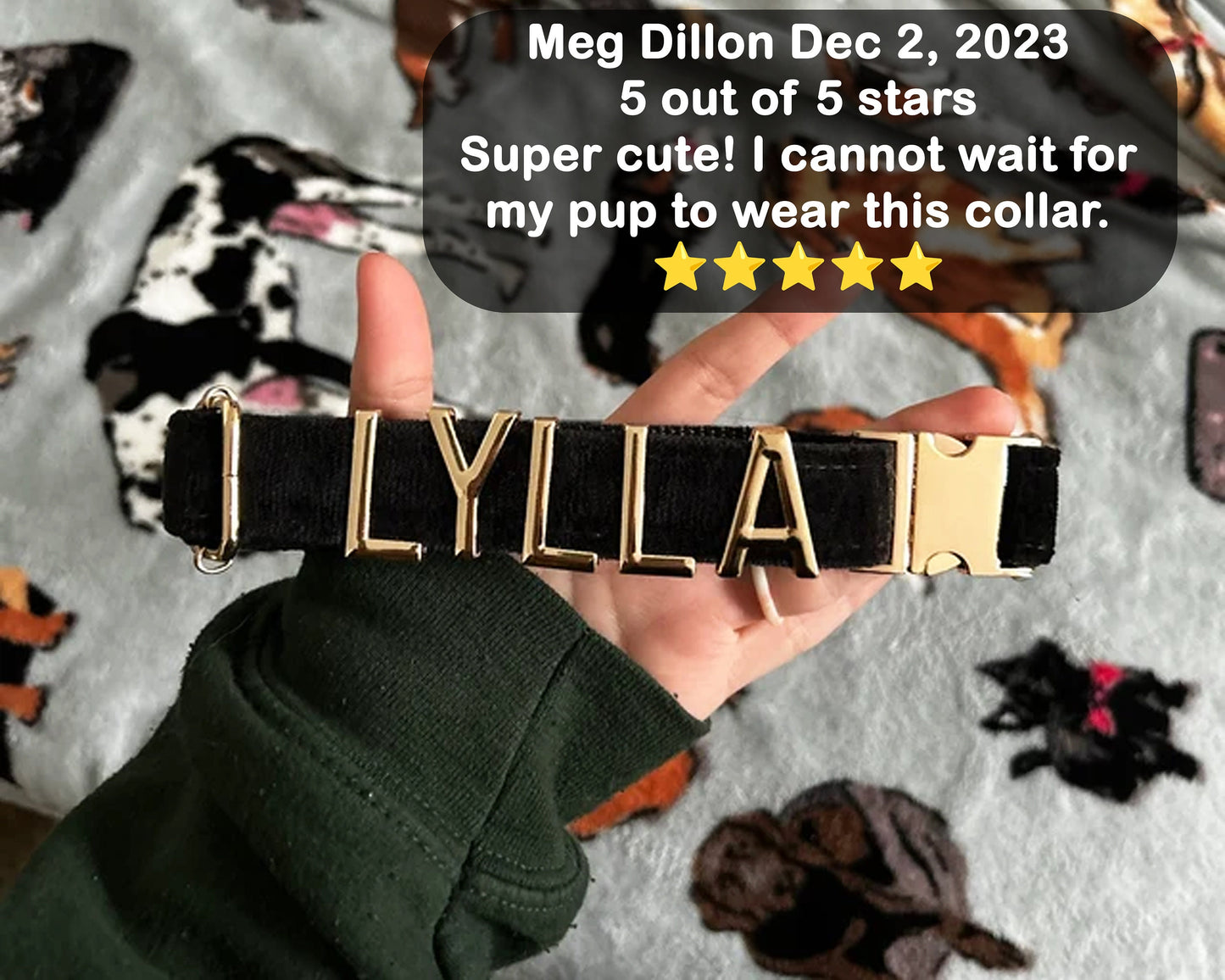 Personalized Dog Collars with Metal Letter Name, Female Dog Collars with Name, Pet Accessories, Pet Nameplate Dog Collar Custom Name Tag - PetyzPaws