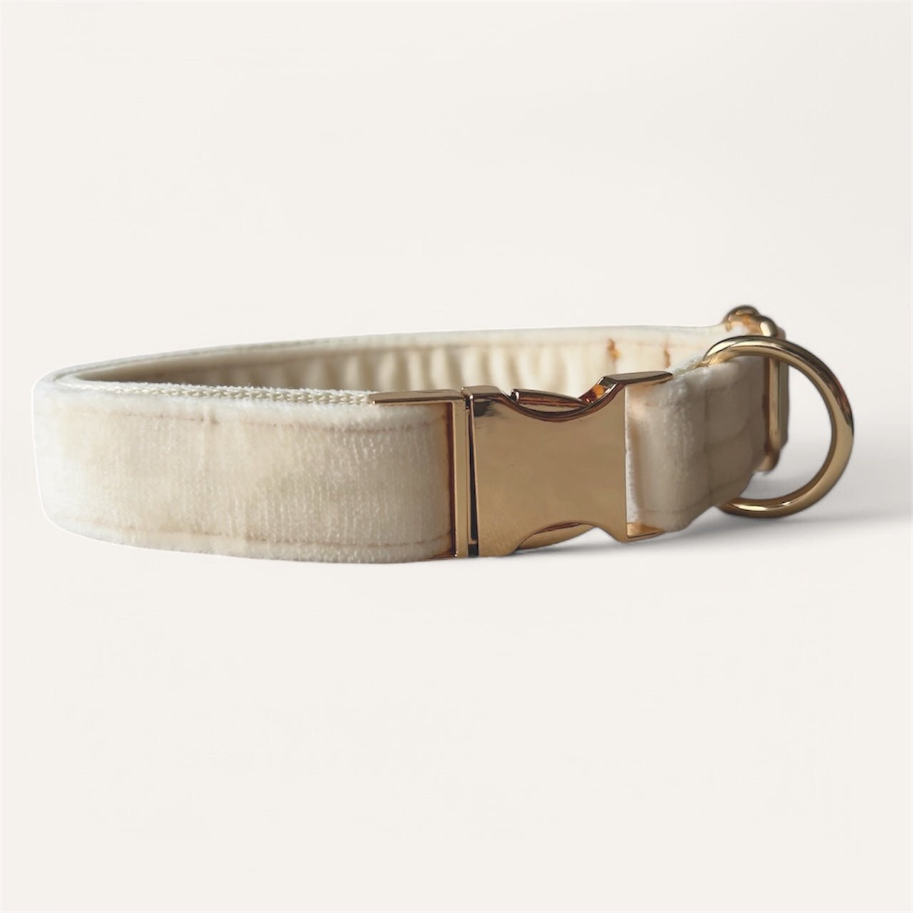 Elegant personalized embroidery dog collars by PetyzPaws in soft velvet with a gold buckle
