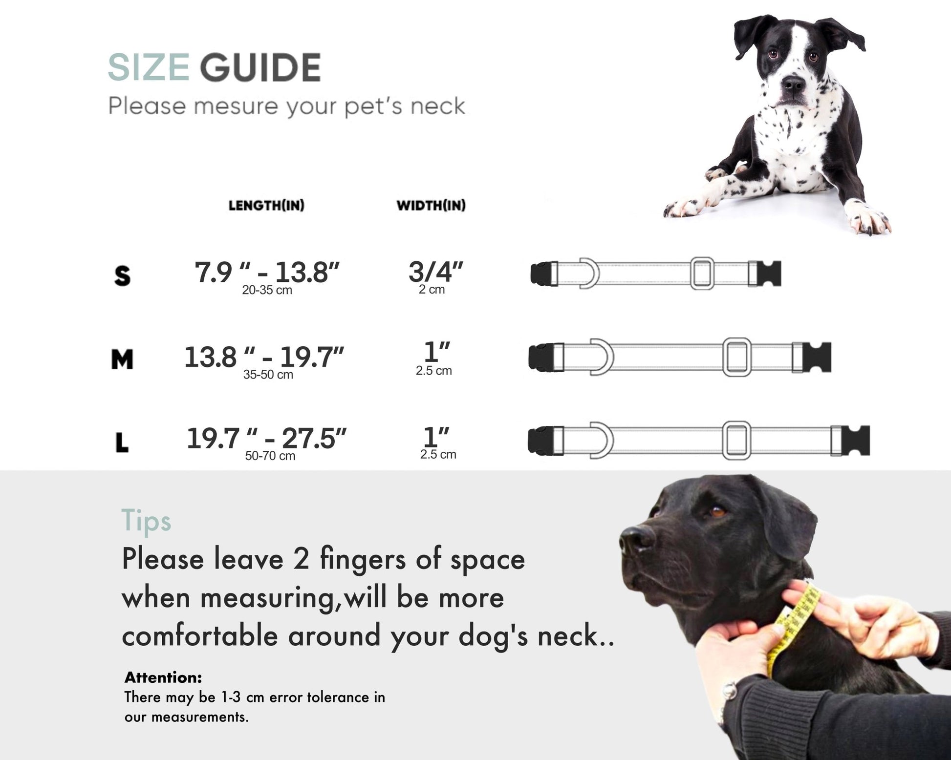 Size guide for personalized embroidery dog collars with measurement tips for a perfect fit