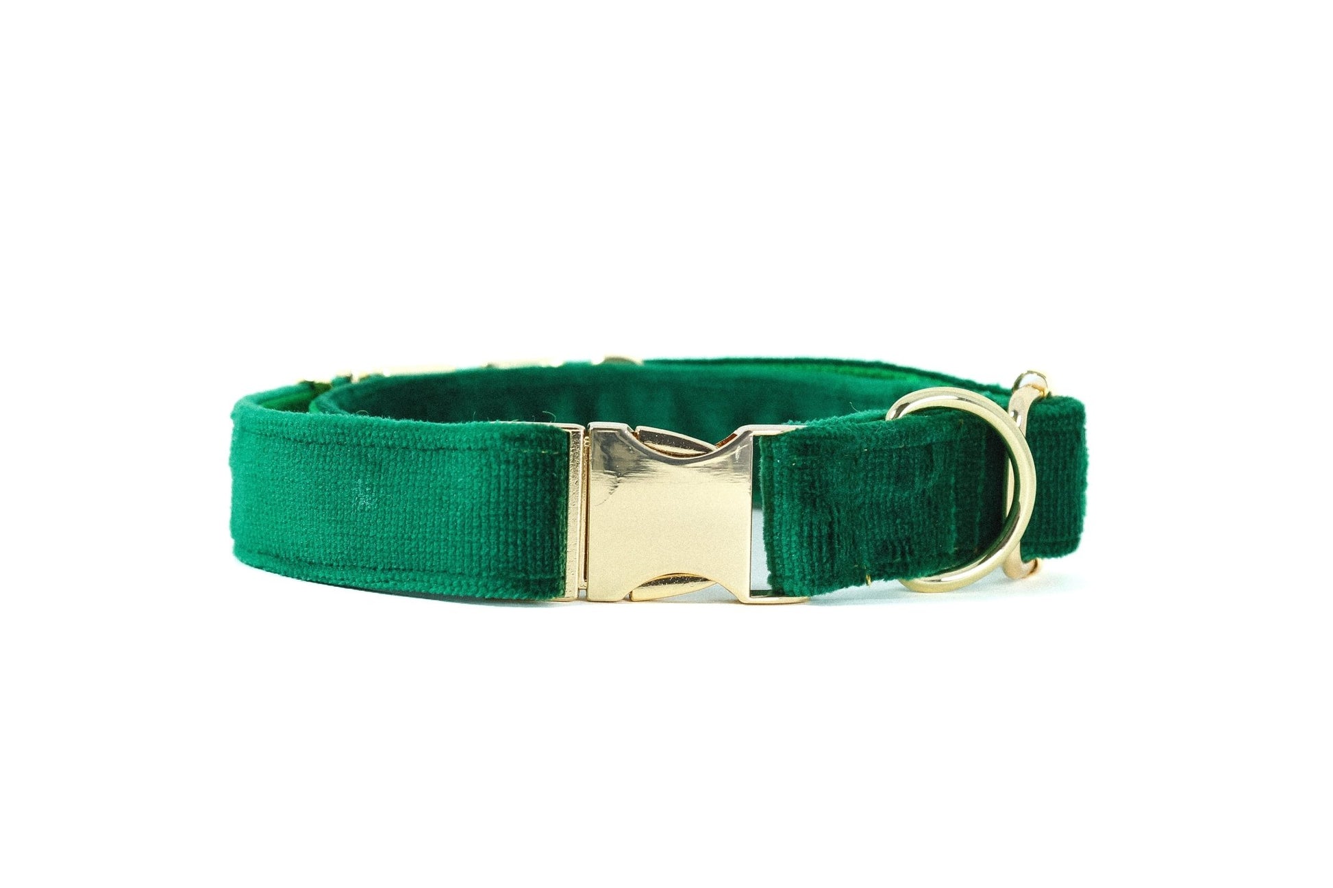 Personalized velvet dog collar in green with a gold buckle for stylish pet accessories