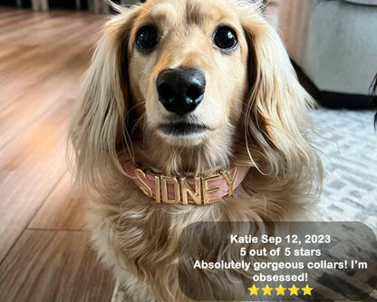 PetyzPaws Personalized Velvet Dog Collar for Pets - PetyzPaws