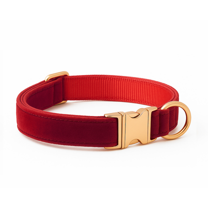 Embroidered Dog Collar
