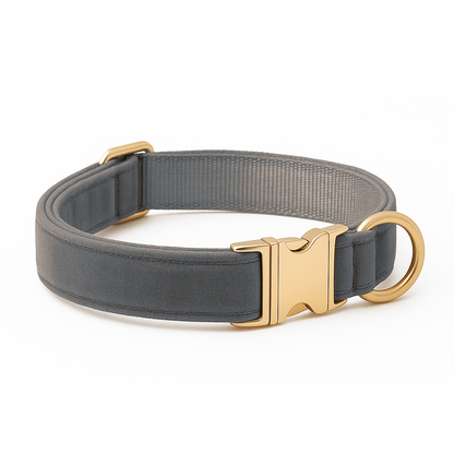 Embroidered Dog Collar