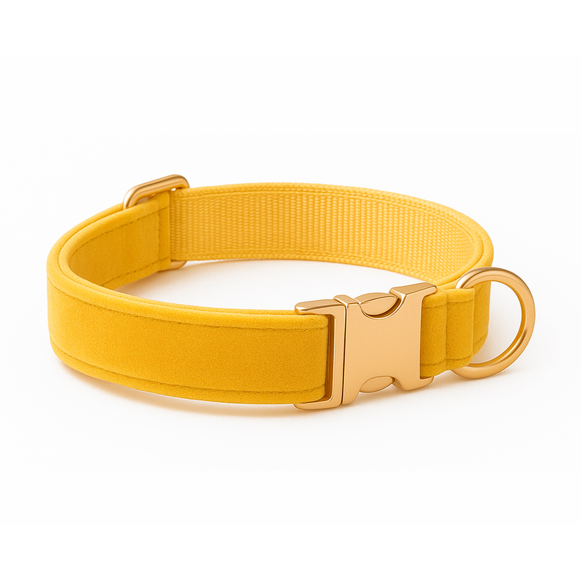Embroidered Dog Collar